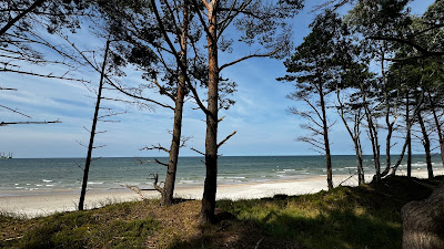 Plaża Wydmy Lubiatowskie — fotografia 3