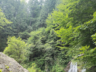 Cascada Urlătoarea (Bușteni) — fotografia 4