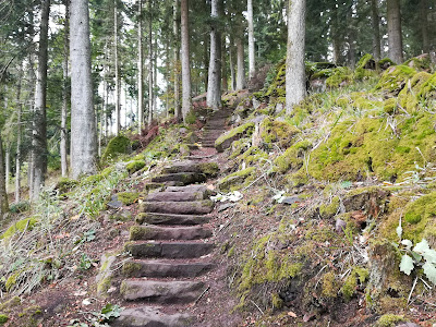 Premiumwanderweg "Der Teinacher" — fotografia 4