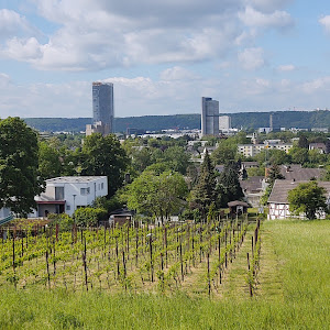 Aussichtspunkt Finkenberg