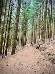 Hahn und Henne Premium-Wanderweg — fotografia 3