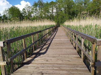 Nature trail "Spławy" — fotografia 5