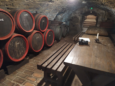 Tokaj Museum — fotografia 4