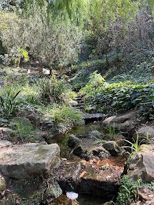Jardi Botanic Historic — fotografia 4
