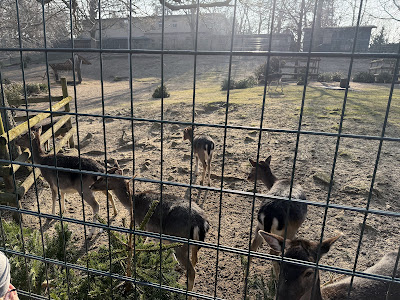 Tierpark Neukölln in der Hasenheide — fotografia 3