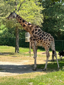 Ljubljana Zoo — fotografia 5