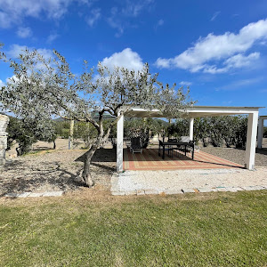 Agricampeggio Gli Ulivi — fotografia 4