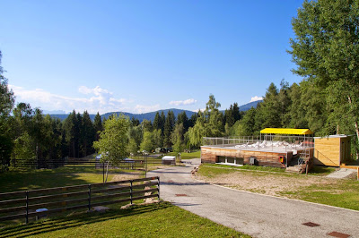 Camping Cané in fiore — fotografia 3