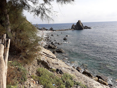 Spiaggia Scoglio dell'Asseu — fotografia 5