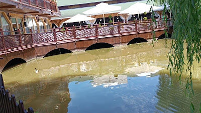 Peștișorul de Aur — fotografia 2