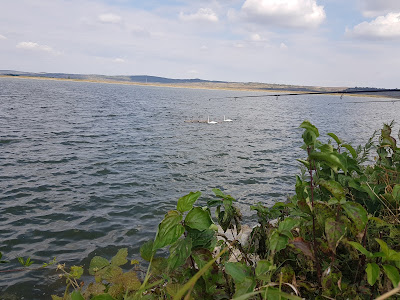 Lacul Vârșolț — fotografia 3