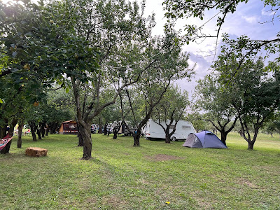 La Ferma Homorâciu — fotografia 4