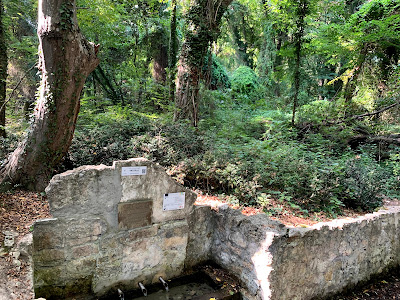 Priroden Park Zlatni Pyasatsi — fotografia 5