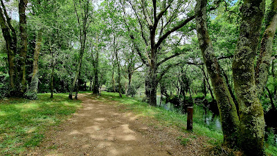 Área recreativa Illa do Refuxio — fotografia 4