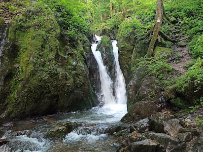 Cascada Şopot