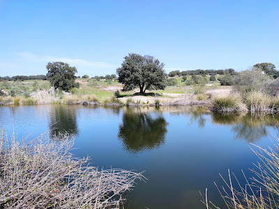 Dehesa De Burguillos, Bailén — fotografia 3