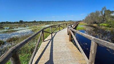 Los Toruños Natural Park — fotografia 4