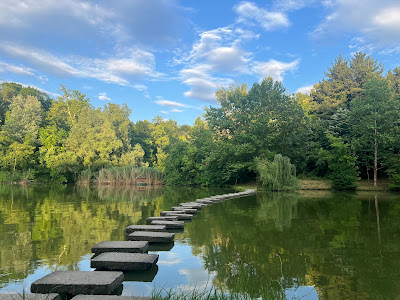 Lipnik Forest Park — fotografia 4