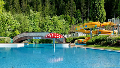 Camping am Waldbad Dellach im Drautal — fotografia 3