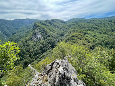 Piatra Ciungilor
