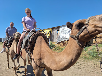 Camel Park Sunny Beach — fotografia 3