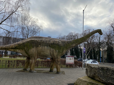 National Museum of Natural History — fotografia 4