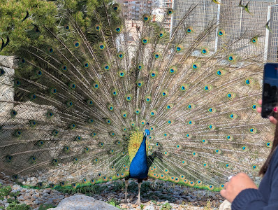 Parque Torres — fotografia 4