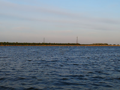 Lacul Murighiol — fotografia 4