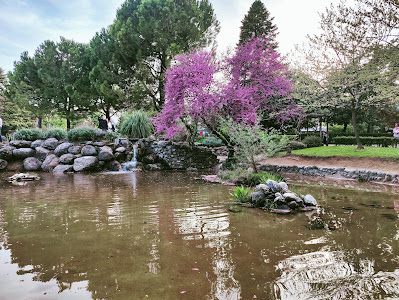 Municipal Park of Naoussa — fotografia 5