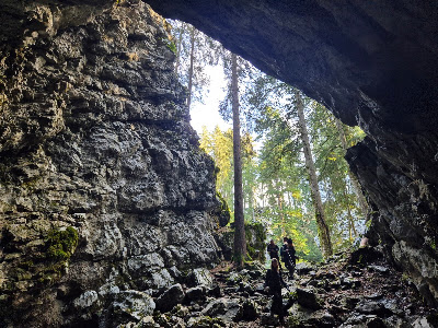 Forest Park Golubinjak — fotografia 4