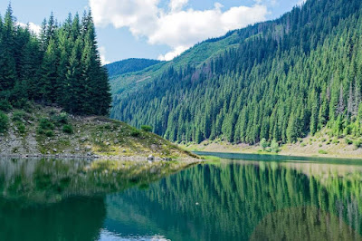 Lacul Galbenu