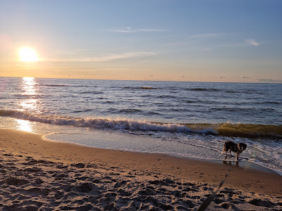 Pleśna Plaża — fotografia 5