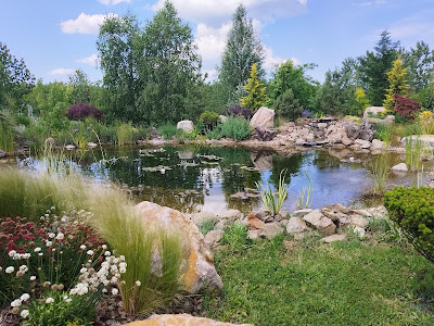 Lavender Farm — fotografia 3