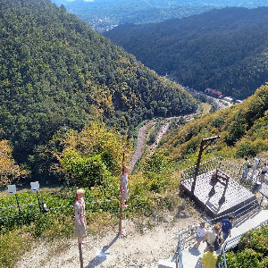 Cetatea Poenari — fotografia 5