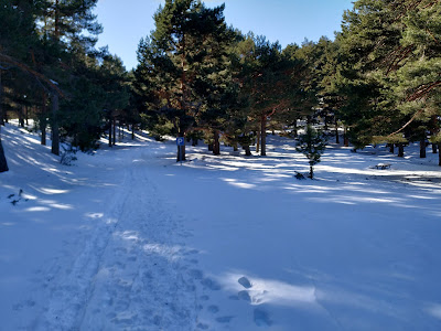 "Las Lagunillas" Recreation Area — fotografia 3