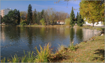 Rybník Prostějov — fotografia 4