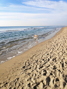 Platja Gavà — fotografia 3