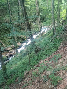 Cascada Şopot — fotografia 5