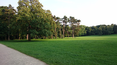 Stadtwald — fotografia 5