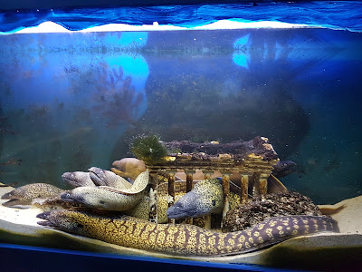 Aquarium of Faliraki (AquaWorld) — fotografia 3