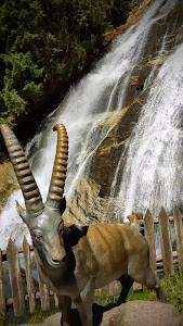 Frankbach Waterfall — fotografia 2