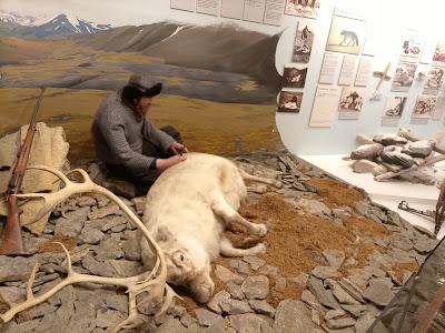 The Polar Museum — fotografia 3