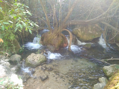 Cascada Honda Benamahoma — fotografia 5