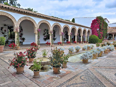 Palacio de Viana — fotografia 4