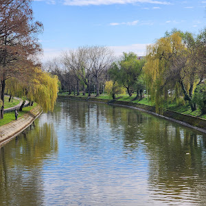 Parcul Copiilor Ion Creangă — fotografia 4