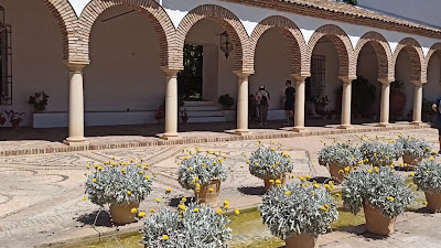 Palacio de Viana — fotografia 2