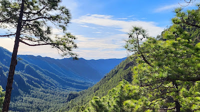 Caldera de Taburiente National Park — fotografia 4