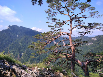 Sokolica — fotografia 3