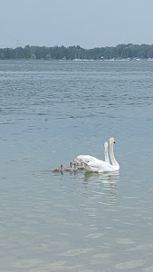 Dzika Plaża — fotografia 4