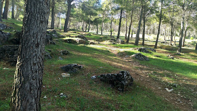 Merenderos Castillo Santa Catalina — fotografia 5